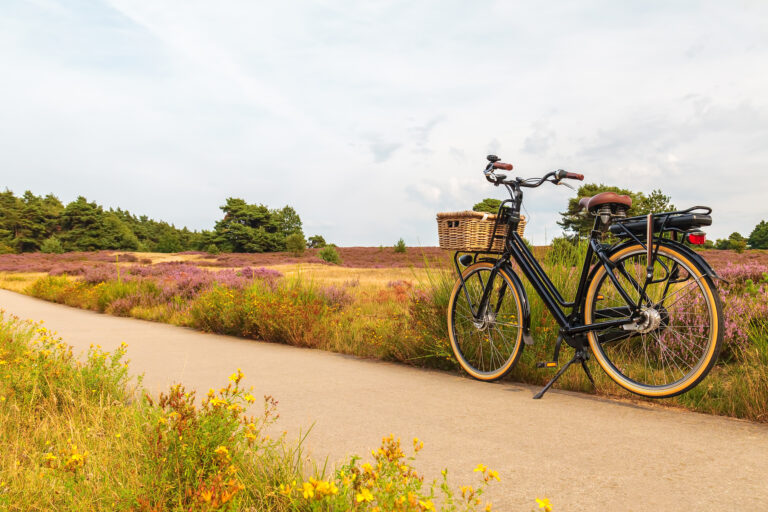 Milieubewust reizen op de Veluwe